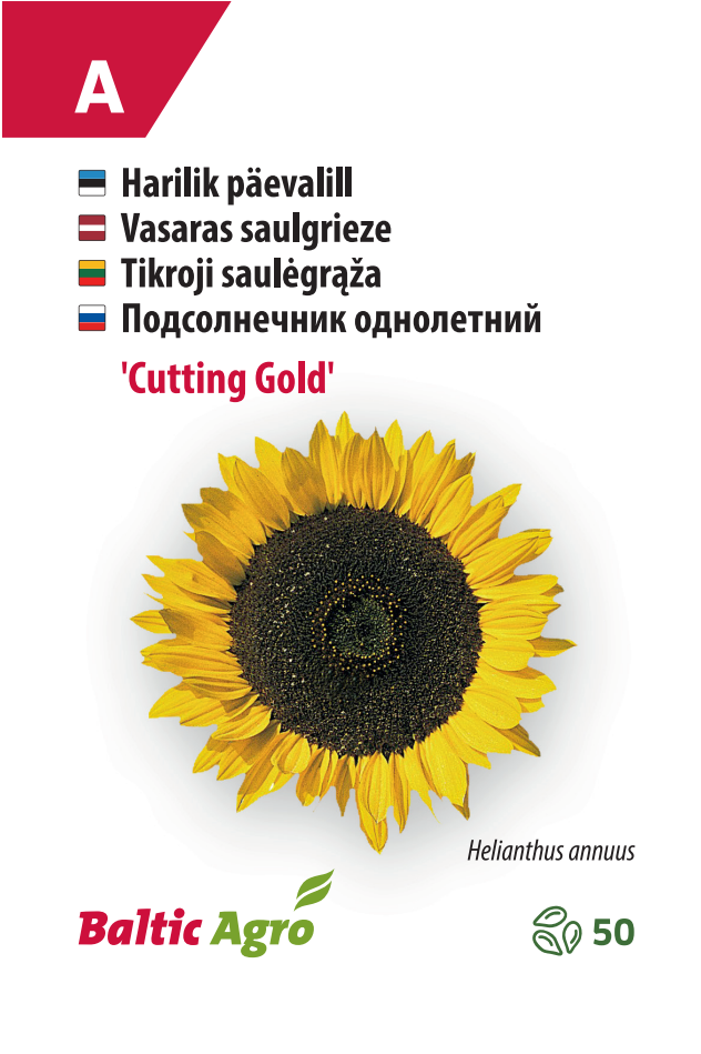 auringonkukka leikkaus kulta Auringonkukka Leikkaus Kulta