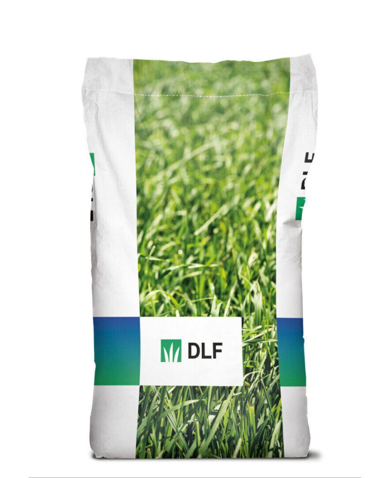 Home garden grass Ornamental 20kg