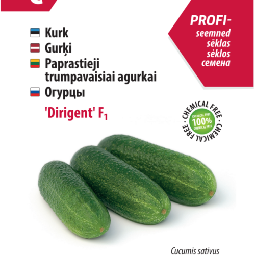 Cucumber 'Conductor' F1