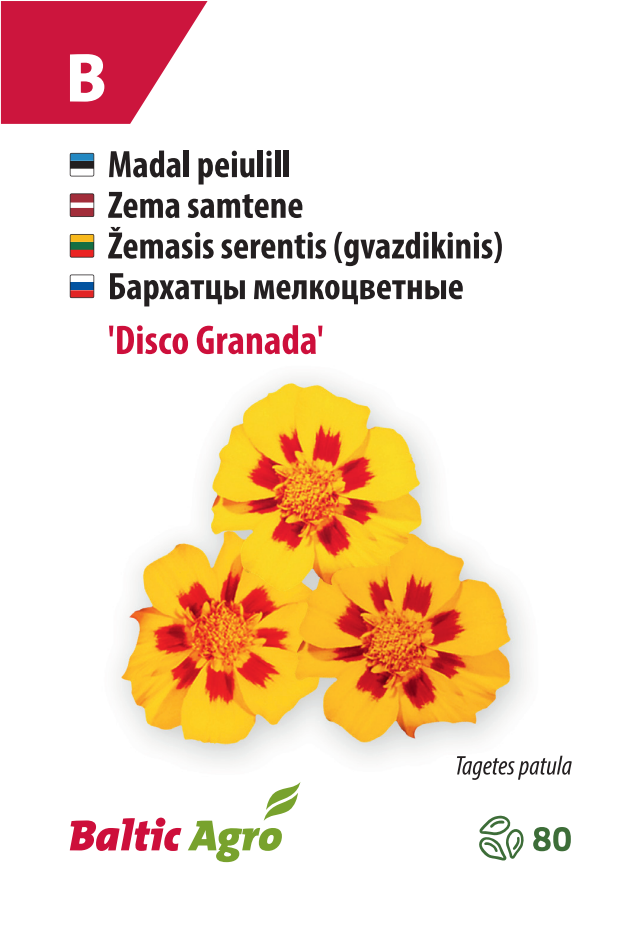 Peiulill ‘Disco Granada’