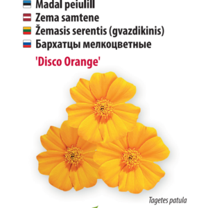 Белый клевер RIVENDEL 300 г