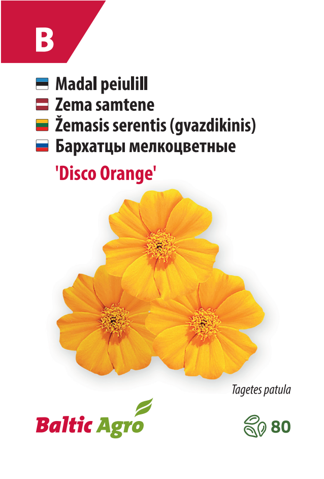 Peiulill 'Disco Orange'