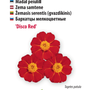 Peiulill ‘Disco Red’