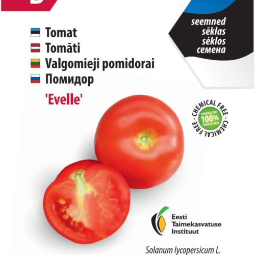 tomat ‘evelle’ Tomato 'Evelle'