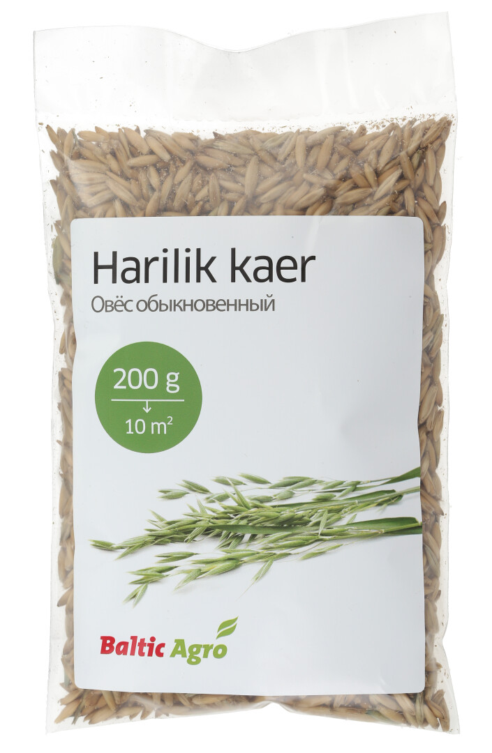 Kaera,Kaer