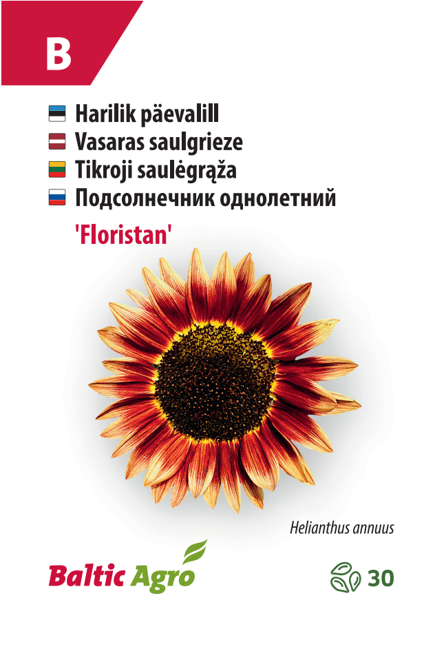 päevalill ‘floristan’ Päevalill ‘Floristan’