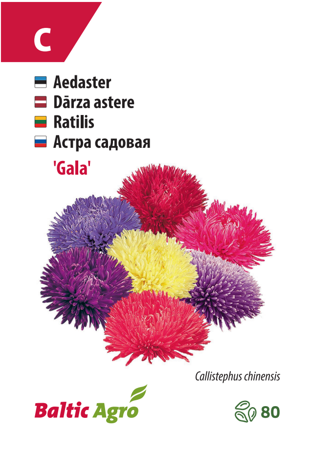 Gala Астра "Гала"