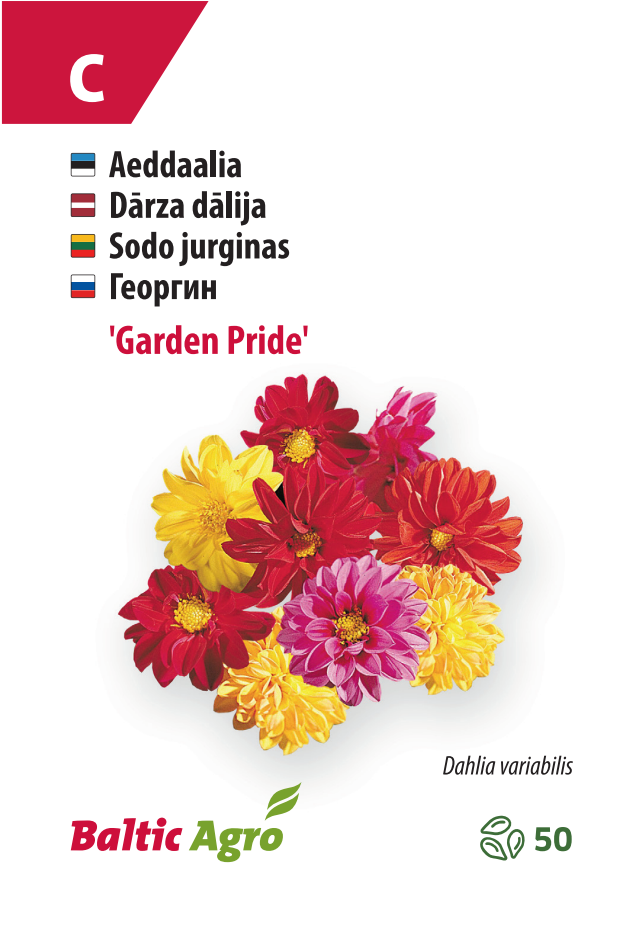 Garden Pride Георгина "Garden Pride"
