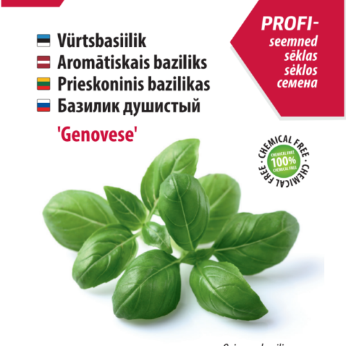 Basiilik ‘Genovese’