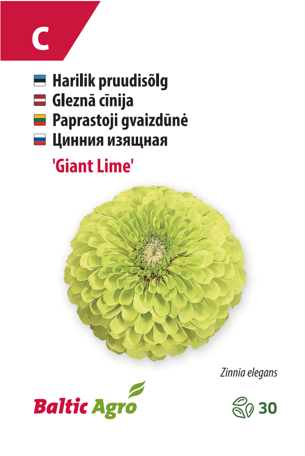 Pruudisõlg ‘Giant Lime’