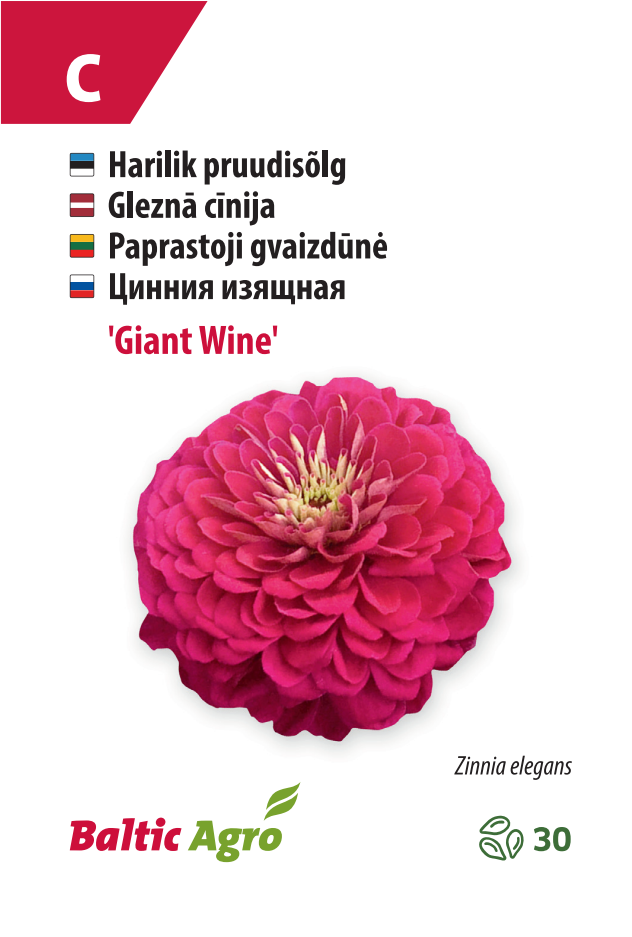 Tsinnia ‘Giant Wine’