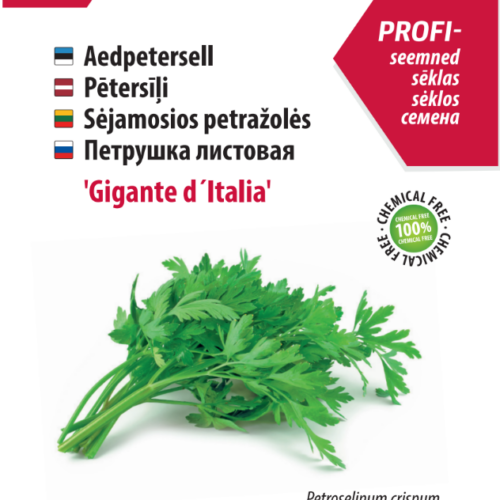 Parsley 'Gigante d'Italia'