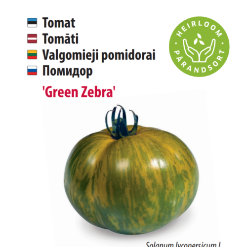 tomat ‘green zebra’ Tomato 'Green Zebra'