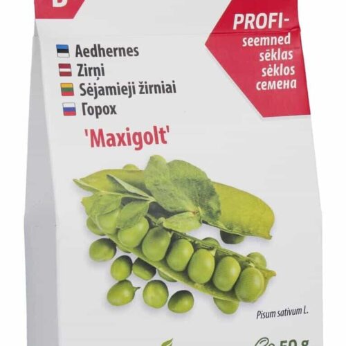 Pea 'Maxigolt'