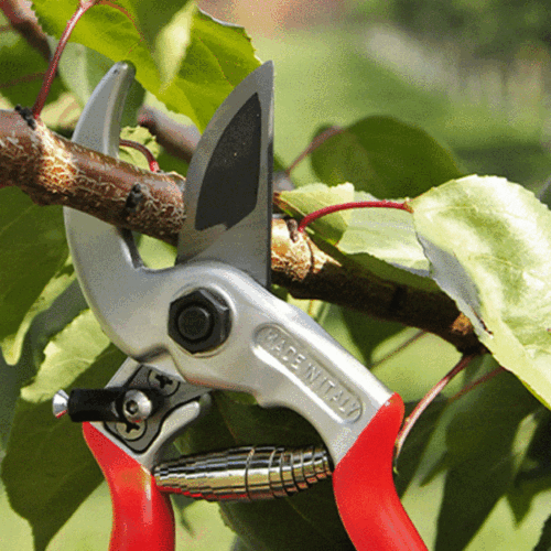 KNOT SCISSORS UNIVERSALE