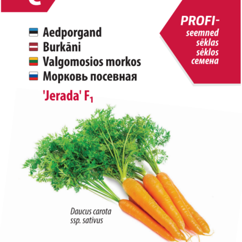 Carrot 'Jerada' F1