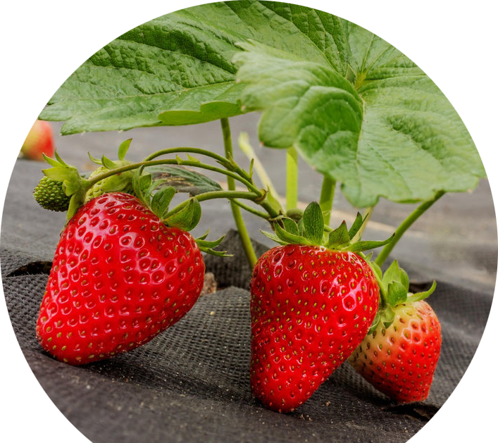 Ткань для защиты от солнца и ветра