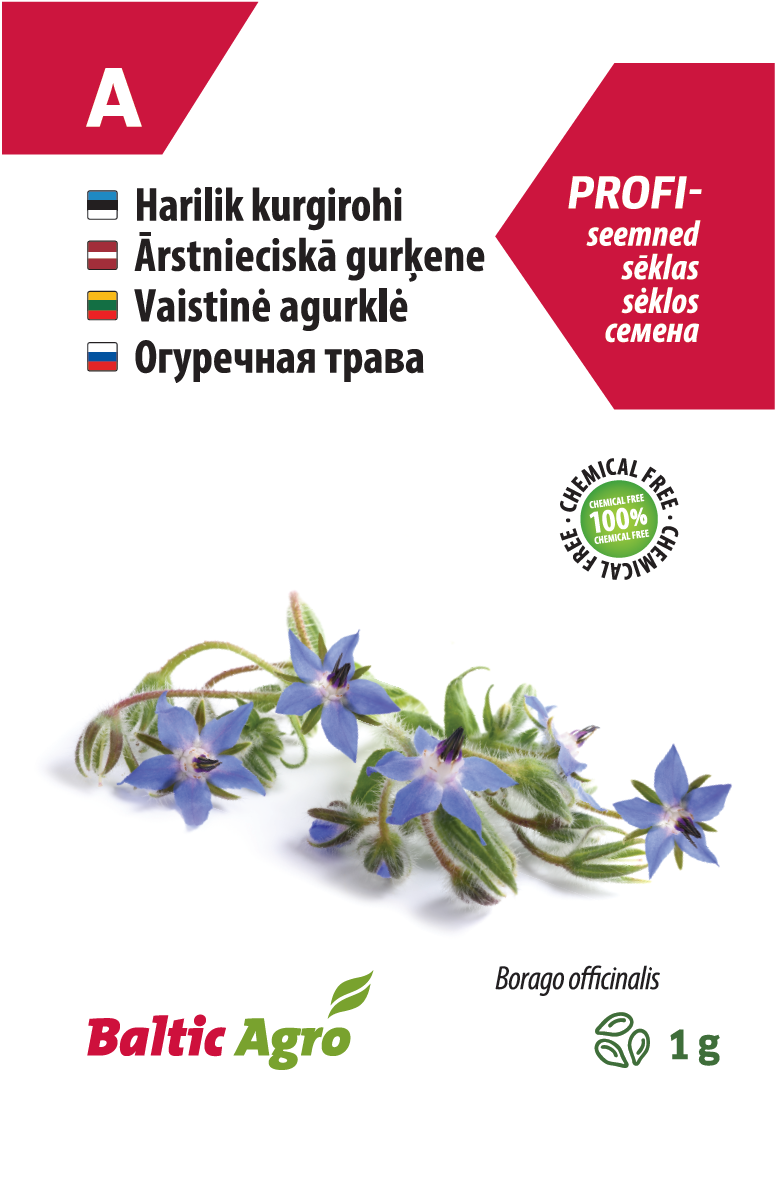 Бурачник лекарственный