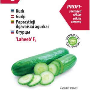 Sunflower Peredovick 100g