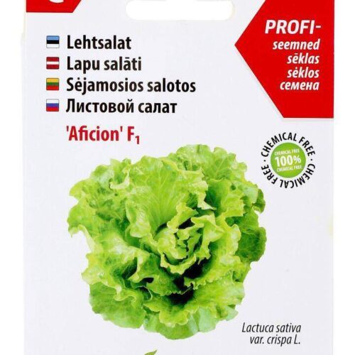 Lettuce 'Aficion' Grand Rapids