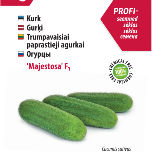 Avamaakurk ‘Majestosa’ F1