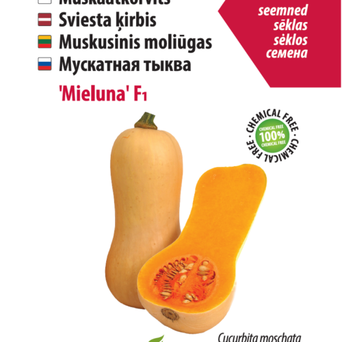 Mieluna,Muskaatkõrvits Mieluna keegelkõrvits