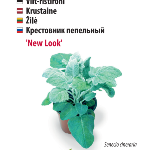 Felt-cruciferous New Look