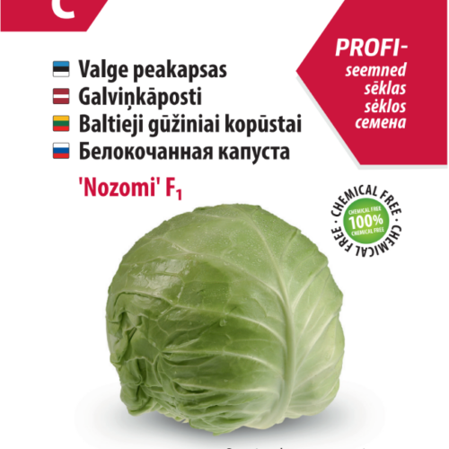 Head cabbage 'Nozomi'