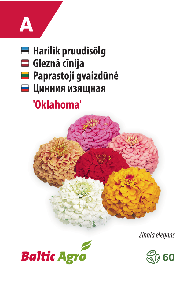 Oklahoma Цинния "Оклахома"