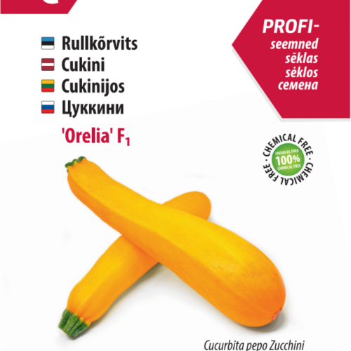 Roller squash 'Orelia' F1
