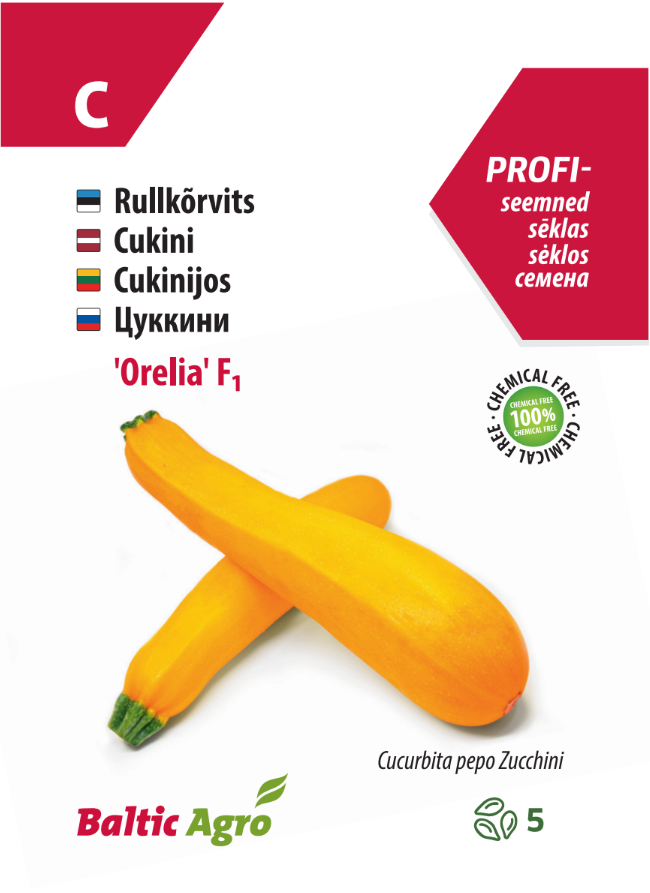 Rullkõrvits ‘Orelia’ F1