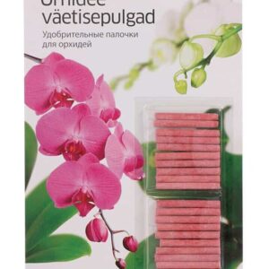 Sunflower Peredovick 100g