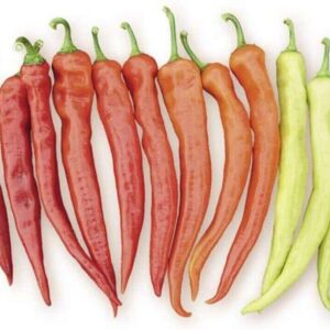 perets-yanka-f1-85177122576937.jpg Перец чили "Yanka" F1