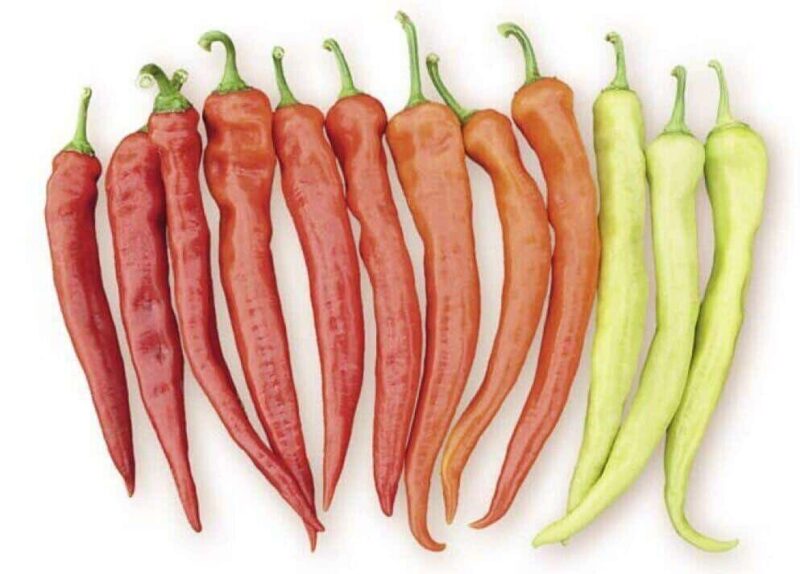 perets-yanka-f1-85177122576937.jpg Перец чили "Yanka" F1