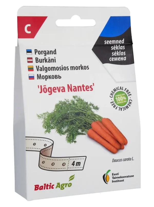 Porgand ‘Jõgeva Nantes’ seemnelindil