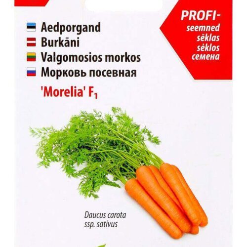 Carrot 'Morelia' F1