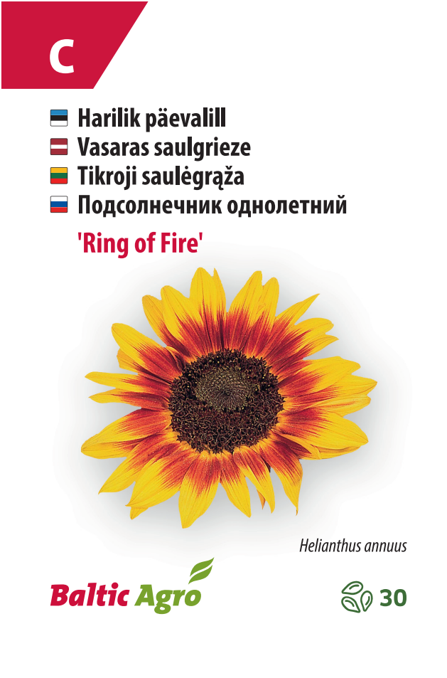Päevalill ‘Ring of Fire’