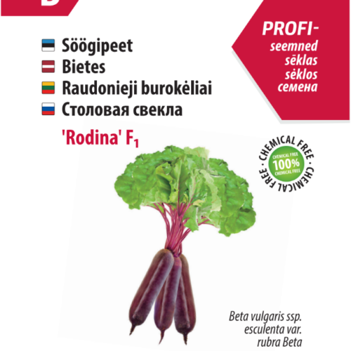 Beetroot 'Rodina' F1