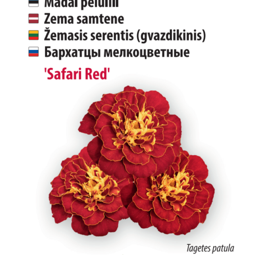 Peiulill 'Safari Red'