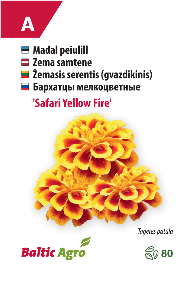 Peiulill ‘Safari Yellow Fire’