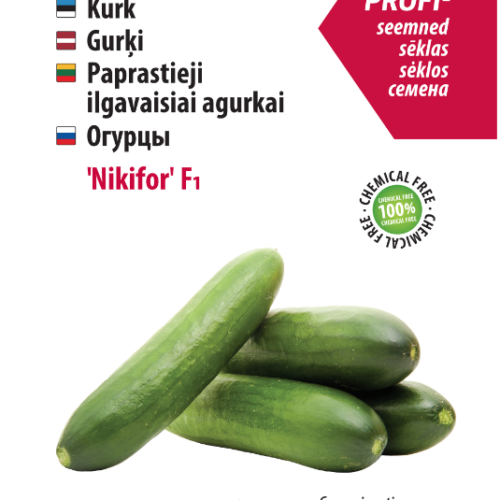 Long greenhouse cucumber Nikifor