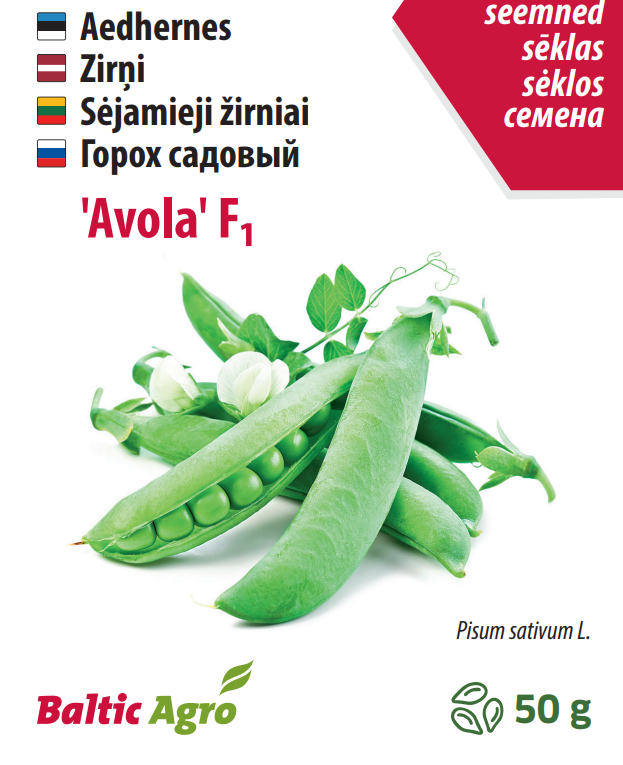 Hernes Avola Pea 'Avola'