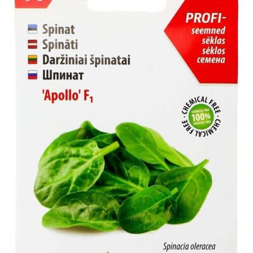Spinach 'Apollo' F1