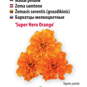 peiulill ‘super hero orange’ Peiulill 'Disco Granada'