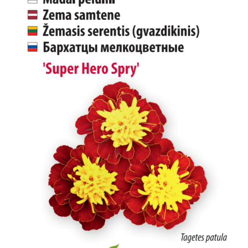 Peiulill 'Super Hero Spry'