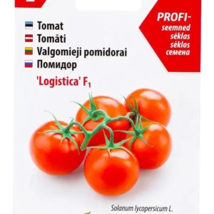 Tomat ‘Logistica’ F1