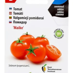 Tomat ‘Maike’