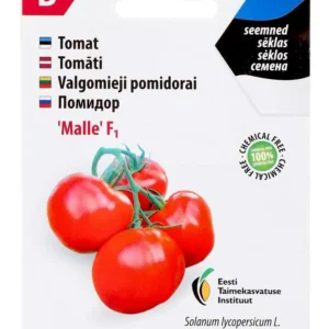 Tomat ‘Malle’ F1