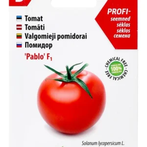 Tomat ‘Pablo’ F1