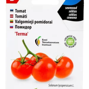 Tomat ‘Terma’